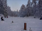 Aamun hämyä ja lähes 20 pakkasta loi vuonna 2010 kisaan omat jännittävät värinsä. 